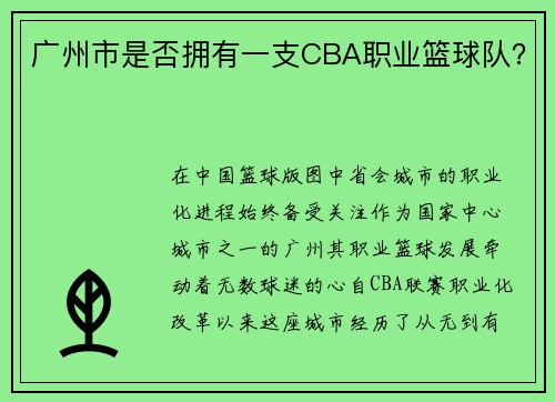 广州市是否拥有一支CBA职业篮球队？